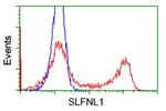 SLFNL1 Antibody in Flow Cytometry (Flow)
