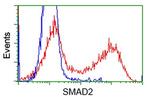 SMAD2 Antibody in Flow Cytometry (Flow)