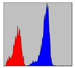 SMAD2 Antibody in Flow Cytometry (Flow)