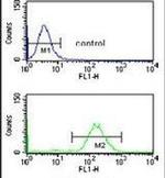 SMNDC1 Antibody in Flow Cytometry (Flow)