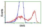 SMS Antibody in Flow Cytometry (Flow)