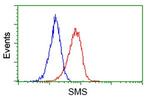 SMS Antibody in Flow Cytometry (Flow)
