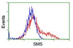 SMS Antibody in Flow Cytometry (Flow)
