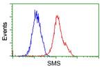 SMS Antibody in Flow Cytometry (Flow)