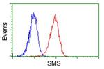 SMS Antibody in Flow Cytometry (Flow)