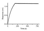 Mouse IgE VHH Secondary Antibody in Functional Assay (Functional)