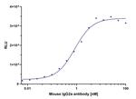 Mouse IgG2a, Fc-specific VHH Secondary Antibody in ELISA (ELISA)