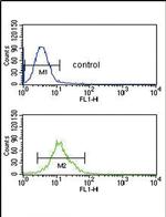 SMYD3 Antibody in Flow Cytometry (Flow)