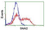 SNAI2 Antibody in Flow Cytometry (Flow)
