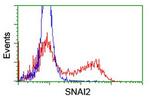 SNAI2 Antibody in Flow Cytometry (Flow)