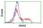 SNAI2 Antibody in Flow Cytometry (Flow)