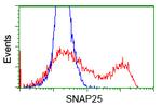 SNAP25 Antibody in Flow Cytometry (Flow)