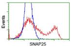 SNAP25 Antibody in Flow Cytometry (Flow)