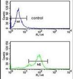 SNRPC Antibody in Flow Cytometry (Flow)
