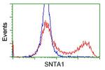 SNTA1 Antibody in Flow Cytometry (Flow)