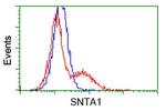 SNTA1 Antibody in Flow Cytometry (Flow)