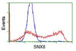 SNX8 Antibody in Flow Cytometry (Flow)