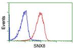 SNX8 Antibody in Flow Cytometry (Flow)