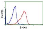 SNX8 Antibody in Flow Cytometry (Flow)