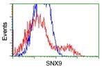 SNX9 Antibody in Flow Cytometry (Flow)
