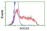 SOCS3 Antibody in Flow Cytometry (Flow)