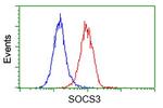 SOCS3 Antibody in Flow Cytometry (Flow)