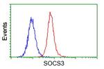 SOCS3 Antibody in Flow Cytometry (Flow)