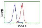 SOCS3 Antibody in Flow Cytometry (Flow)
