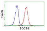 SOCS3 Antibody in Flow Cytometry (Flow)