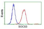 SOCS3 Antibody in Flow Cytometry (Flow)