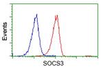 SOCS3 Antibody in Flow Cytometry (Flow)