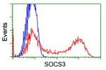 SOCS3 Antibody in Flow Cytometry (Flow)
