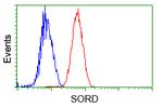 SORD Antibody in Flow Cytometry (Flow)