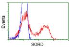 SORD Antibody in Flow Cytometry (Flow)