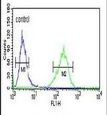 SPG20 Antibody in Flow Cytometry (Flow)