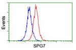 SPG7 Antibody in Flow Cytometry (Flow)