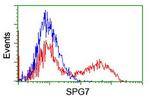 SPG7 Antibody in Flow Cytometry (Flow)