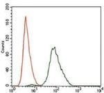 SPIB Antibody in Flow Cytometry (Flow)