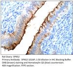 SPNS2 Polyclonal Antibody