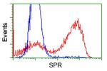SPR Antibody in Flow Cytometry (Flow)