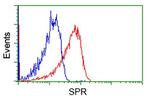 SPR Antibody in Flow Cytometry (Flow)