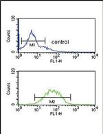 SPRY4 Antibody in Flow Cytometry (Flow)