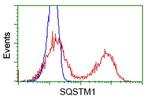 SQSTM1 Antibody in Flow Cytometry (Flow)