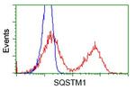 SQSTM1 Antibody in Flow Cytometry (Flow)