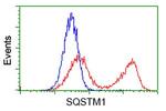 SQSTM1 Antibody in Flow Cytometry (Flow)