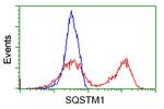 SQSTM1 Antibody in Flow Cytometry (Flow)