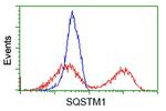 SQSTM1 Antibody in Flow Cytometry (Flow)