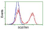 SQSTM1 Antibody in Flow Cytometry (Flow)