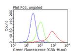 SQSTM1 Antibody in Flow Cytometry (Flow)
