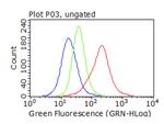 SQSTM1 Antibody in Flow Cytometry (Flow)